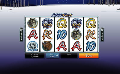 The Silver Fang Slot Game at the Gaming Club CR Online Casino